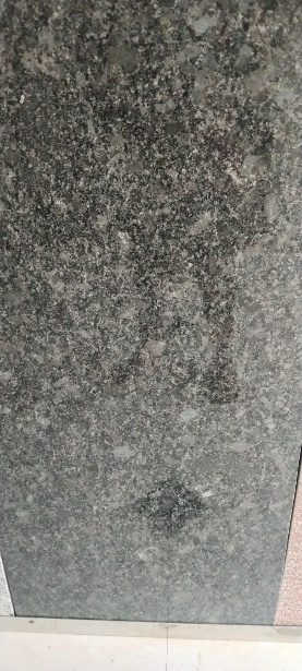 calacatta-gold-marble